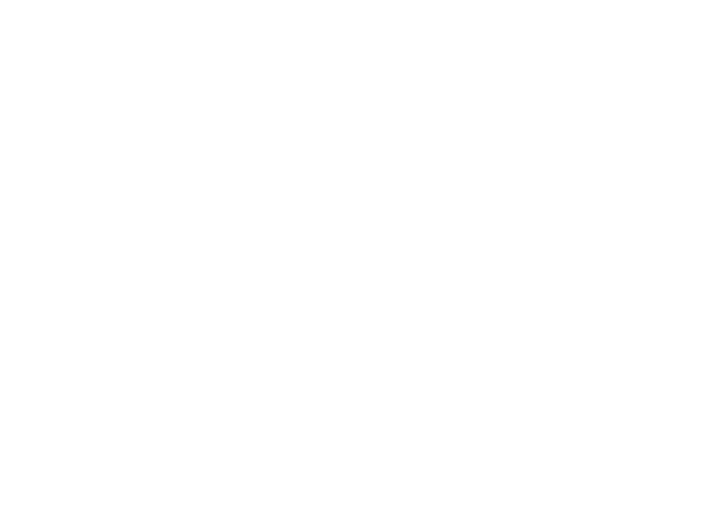 rotarally